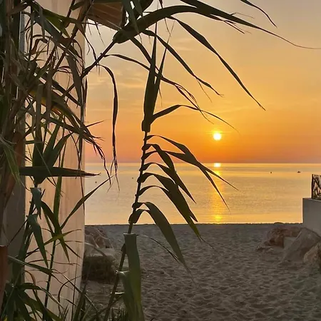 Appartamento Climatisé 2 Pièces, 4 Pers, Terrasse, Piscine, à 500m De La Plage, Parking Sécurisé - Fr-1-776-18 *