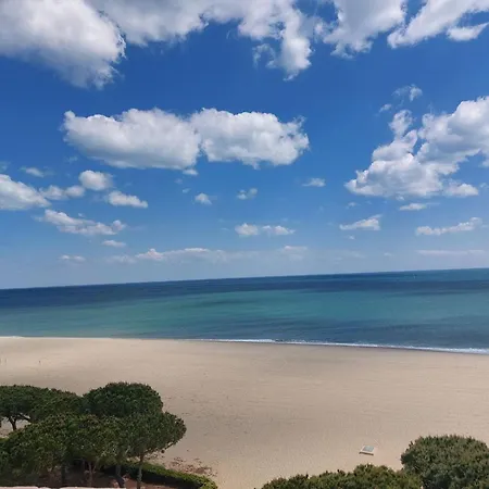 Climatise 2 Pieces, 4 Pers, Terrasse, Piscine, A 500m De La Plage, Parking Securise - Fr-1-776-18 Lejlighed *