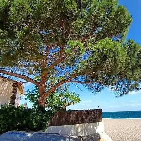 Climatise 2 Pieces, 4 Pers, Terrasse, Piscine, A 500m De La Plage, Parking Securise - Fr-1-776-18 * Argeles-sur-Mer